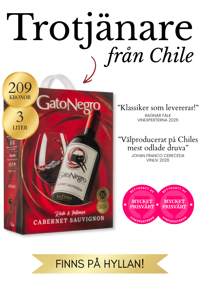 Gato Negro Cabernet Sauvignon